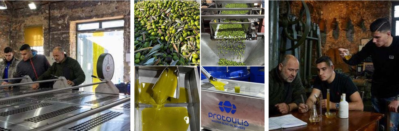 AEGEAN GOLD Extra Virgin Olive Oil