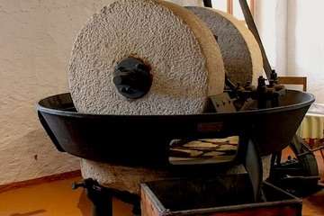 The History of Olive Oil Production: A Journey Through Time