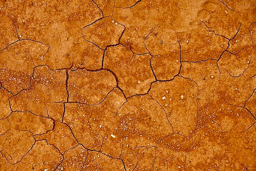 Slovenia. Kras. Wine