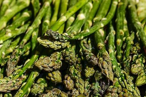 The Mediterranean Diet’s Impact on Autoimmune Diseases