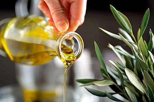 Olive Oil Tasting