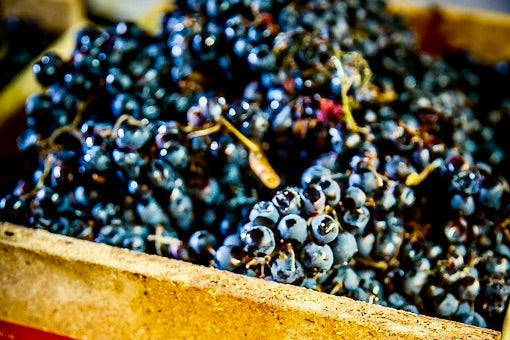 Red Wines by Boldness: From Whisper to Thunder