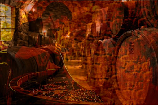 The Grape’s Journey: Winemaking Methods Explained