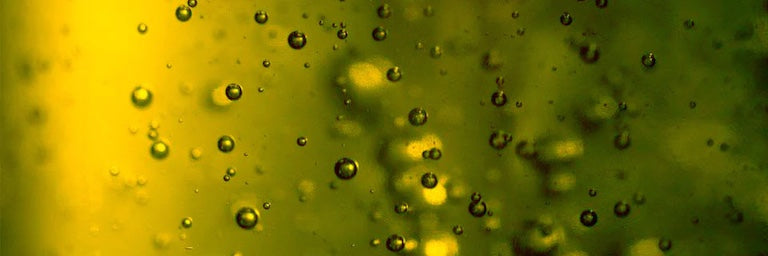 Olive Oil